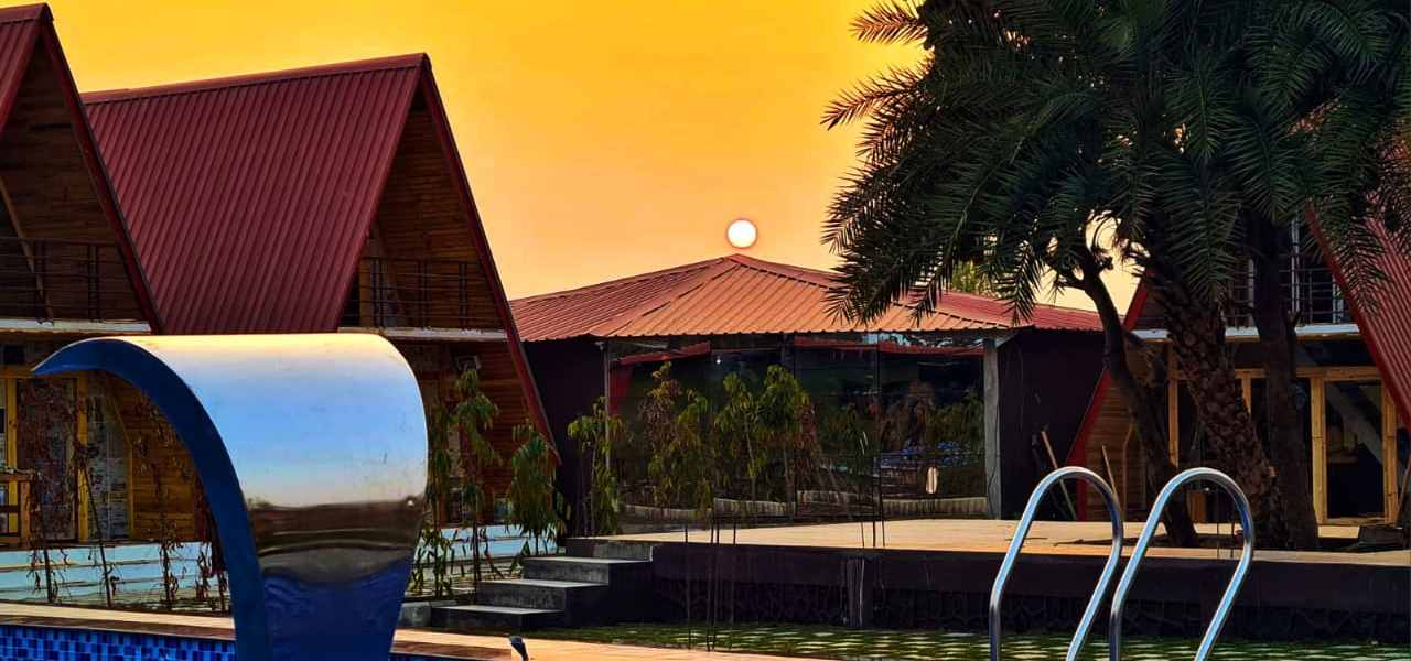 Sapling's' N Eyrie's Farm