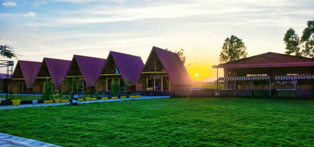 Sapling's' N Eyrie's Farm