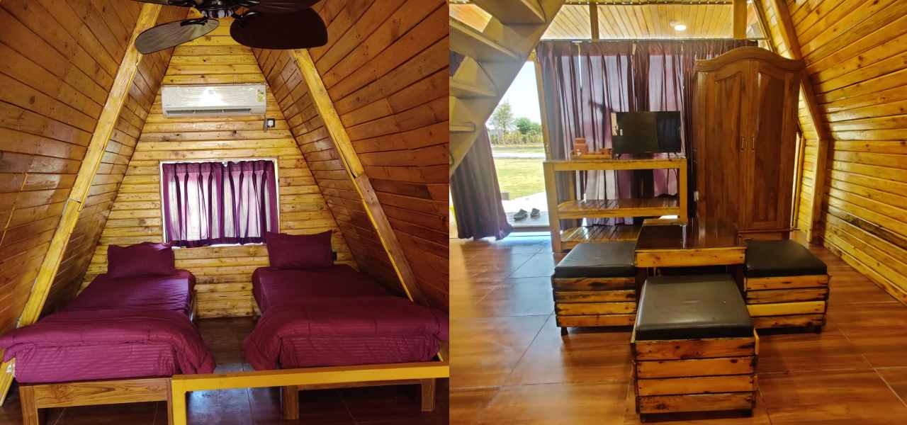 Sapling's' N Eyrie's Farm