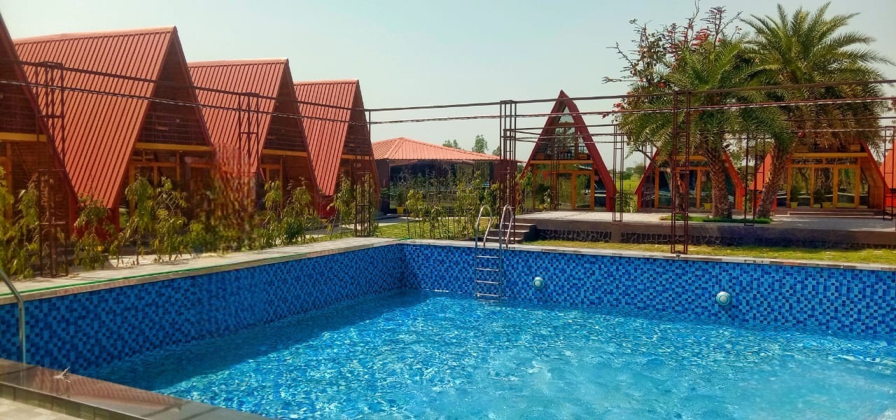 Sapling's' N Eyrie's Farm