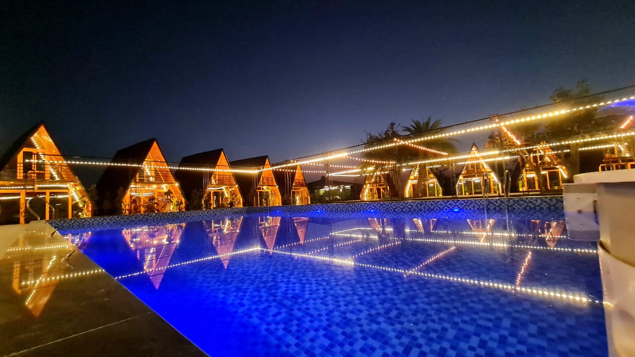 Sapling's' N Eyrie's Farm