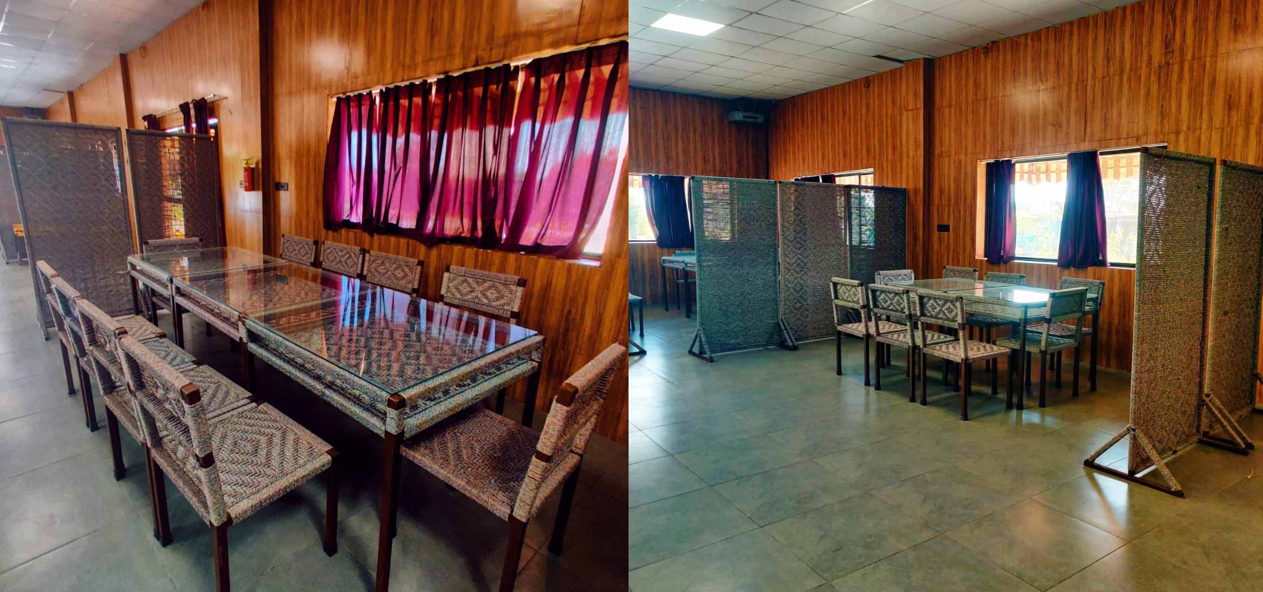 Sapling's' N Eyrie's Farm