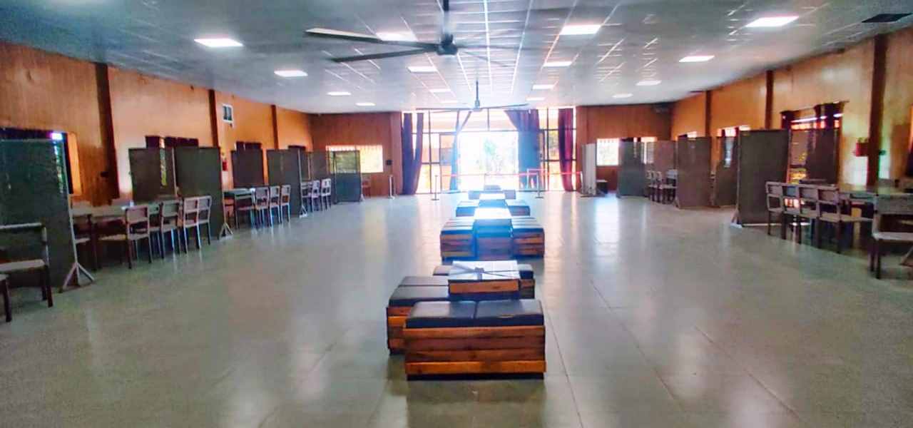 Sapling's' N Eyrie's Farm